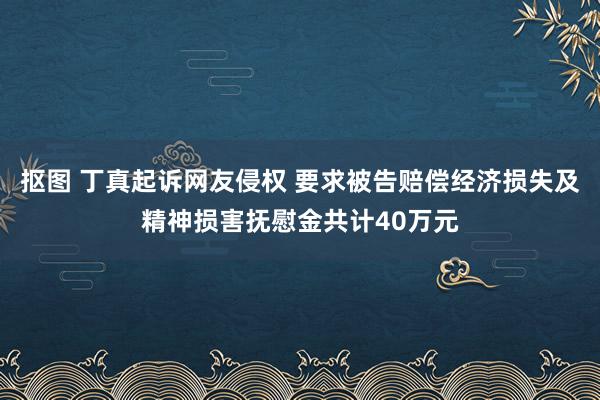 抠图 丁真起诉网友侵权 要求被告赔偿经济损失及精神损害抚慰金共计40万元