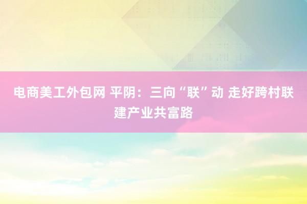 电商美工外包网 平阴：三向“联”动 走好跨村联建产业共富路